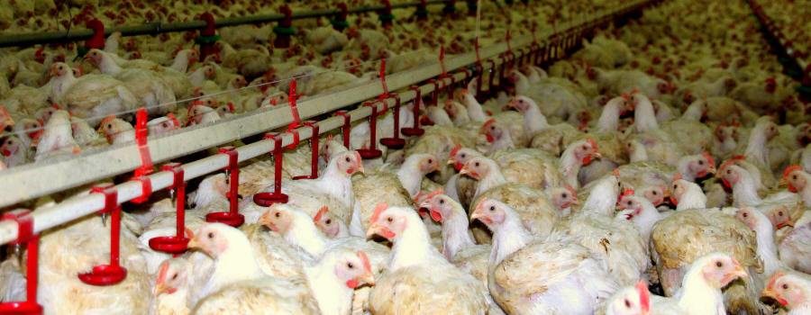 equipamiento agrícola 01