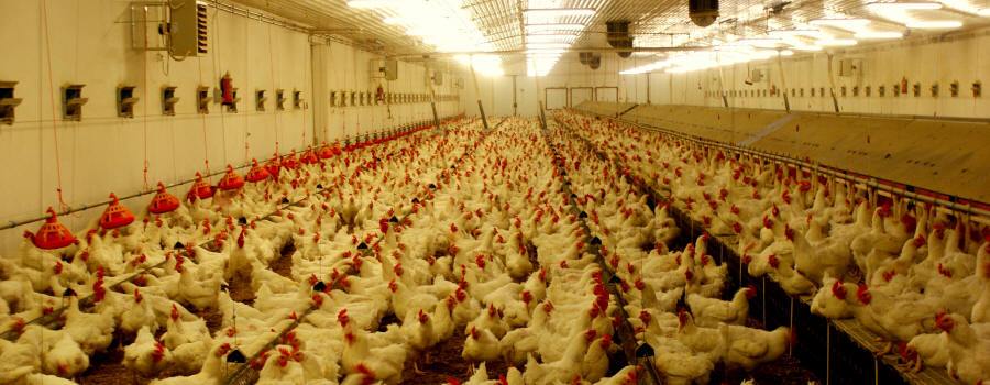 equipamiento agrícola 01